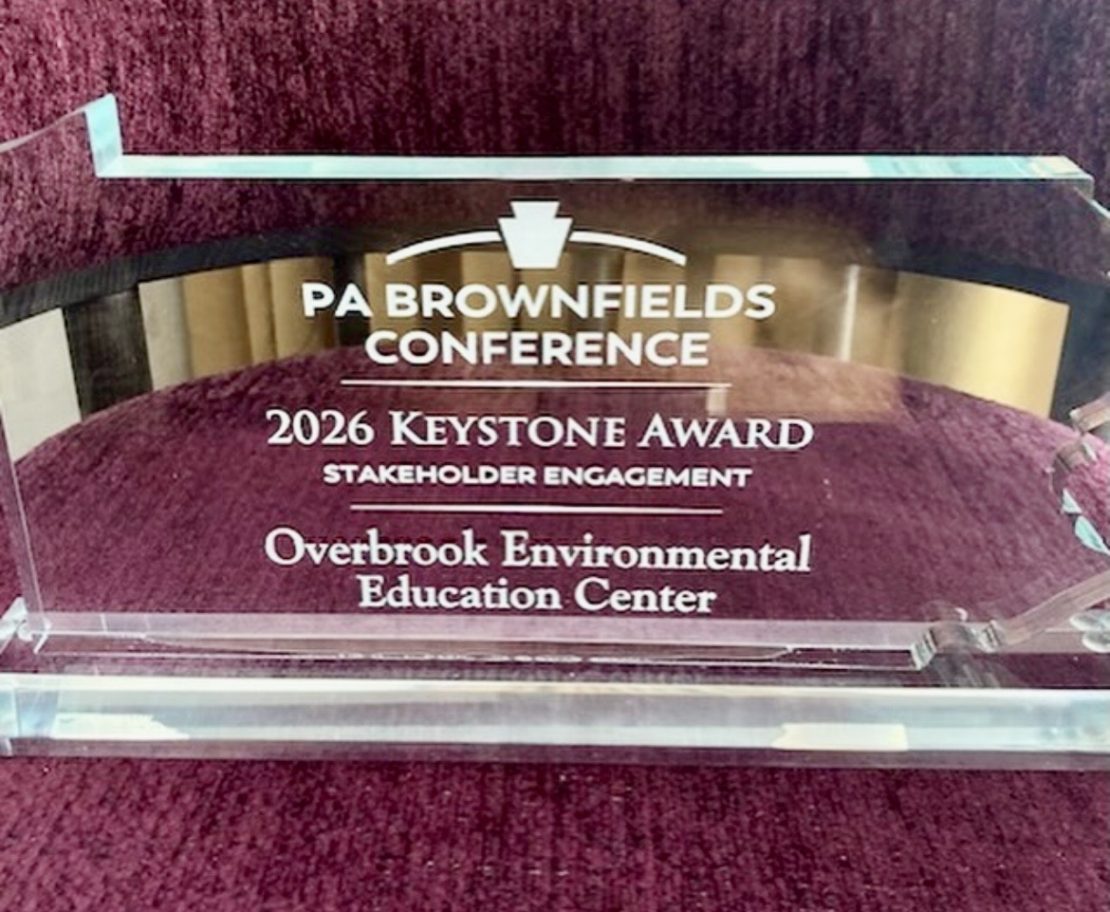 Keystone Award